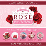Diamond Real Preserved Rose Keepsake - 12 Pieces Per Retail Ready Display 24888