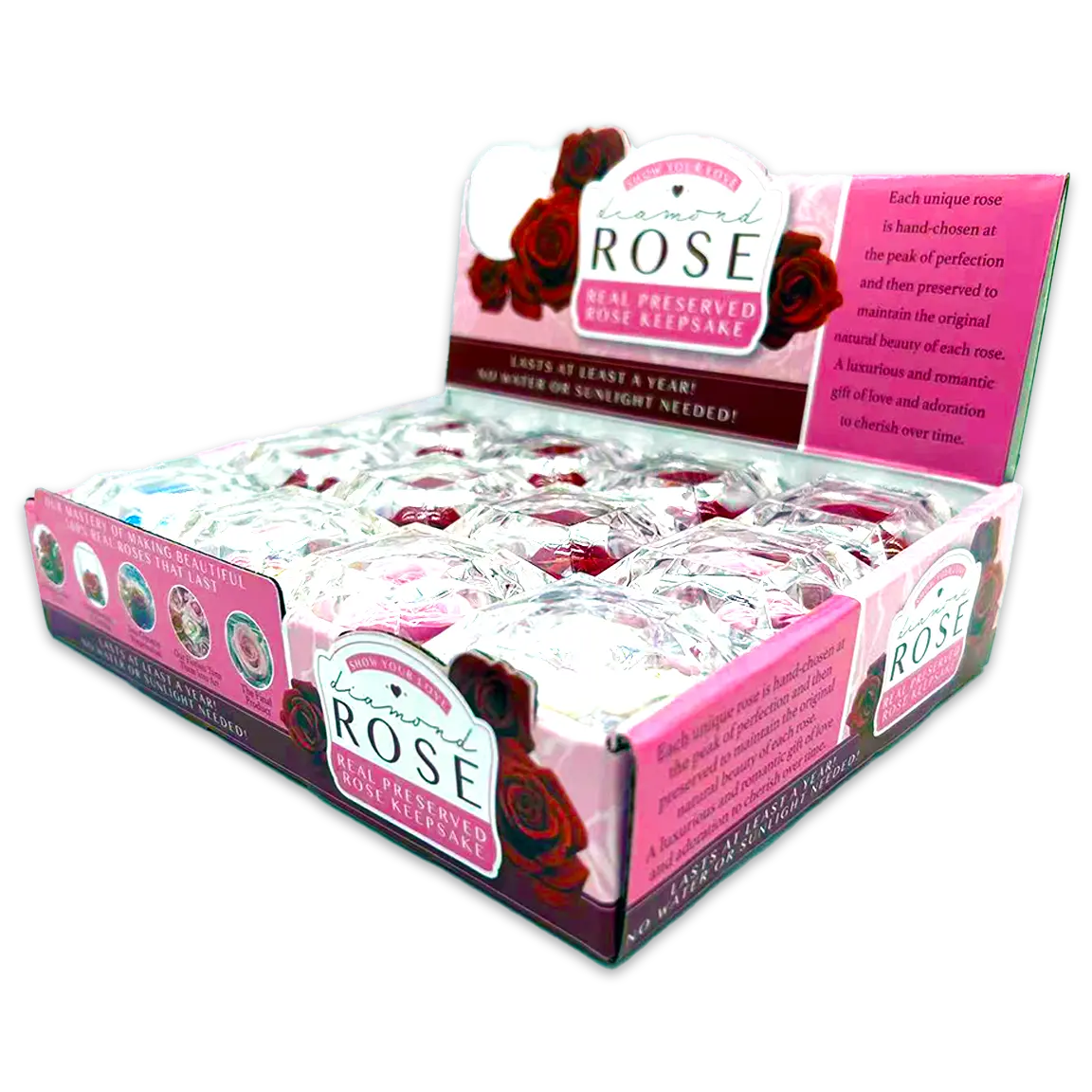 Diamond Real Preserved Rose Keepsake - 12 Pieces Per Retail Ready Display 24888 KIPP BROTHERS