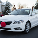 Christmas Plush Reindeer Car Kit - 12Pieces Per Pack 22595