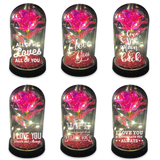 WHOLESALE GLASS DOME ROSE KEEPSAKE 6 PIECES PER DISPLAY 24544