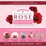 Diamond Real Preserved Rose Keepsake - 12 Pieces Per Retail Ready Display 24712