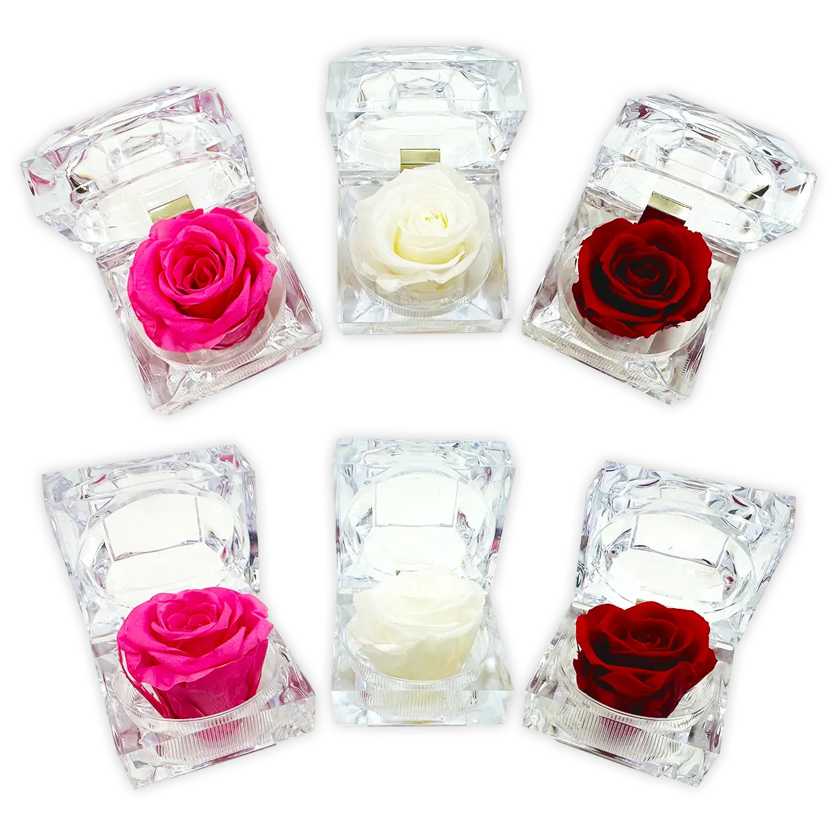 Diamond Real Preserved Rose Keepsake - 12 Pieces Per Retail Ready Disp ...