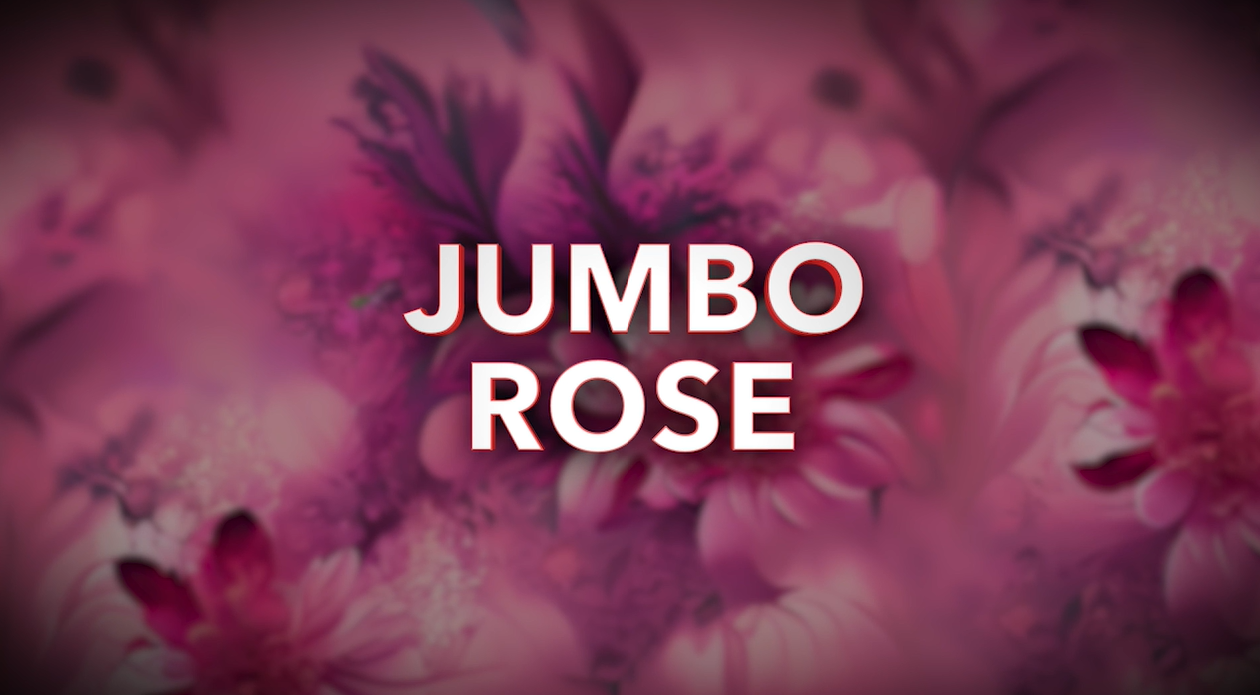 Glass Dome Real Preserved Rose Keepsake - 4 Pieces Per Retail Ready ...